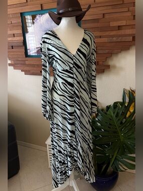 Mint Zebra Print Button-Front Maxi Dress